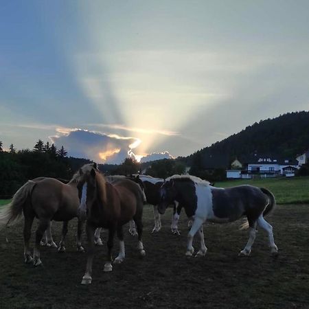 Ferienwohnung Am Tor Zum Thueringer Wald Plaue  Eksteriør billede