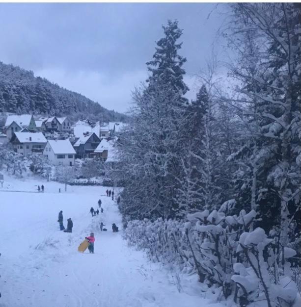 Ferienwohnung Am Tor Zum Thueringer Wald Plaue  Eksteriør billede